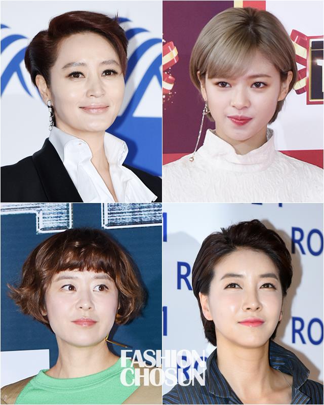 Chosun Online 朝鮮日報 真似したい スターたちのショートヘア