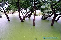 無限の生命史が拡がる「昌寧・牛浦沼」