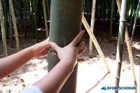 【映画・ドラマロケ地②】映画『清風明月』/デナムゴル・テーマ公園