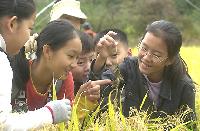 【秋の異色旅行②】栗狩り、サツマイモ掘りを楽しもう!