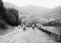 【ソウル森の旅②】銀杏・栗の木が多い清渓山