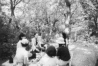 【ソウル森の旅③】水落山の「瞑想の森」へ