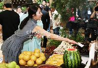 【フォト】「大河時代劇『王と私』、ファイト!」