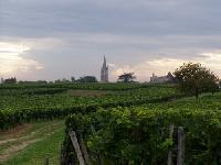 ワインと韓国酒がテーマのドラマ制作へ