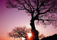 ロケーション・マネージャーお勧めの「特別な風景」