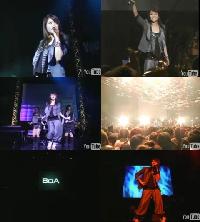 BoA、米デビュー曲をライブで初披露