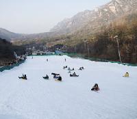 都心近郊で冬のスポーツ、キム・ヨナみたいに…