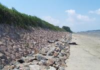 砂丘をテーマにした「風の公園」誕生へ /全北コチャン