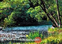 神の秘密庭園のような千里浦樹木園 /忠南
