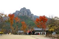 紅葉を見に行くならココ /慶北(上)