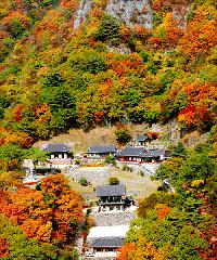 紅葉を見に行くならココ /慶北(下)