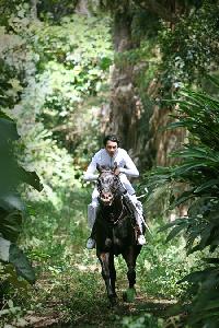 ソン・イルグク、ハワイロケで乗馬シーン撮影