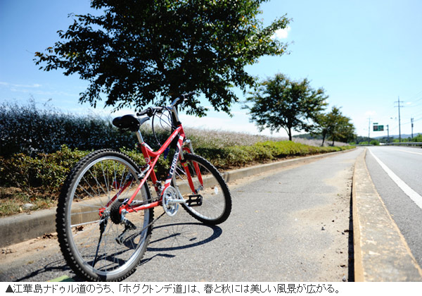 自転車で江華島を一周！　「最高の歴史体験」