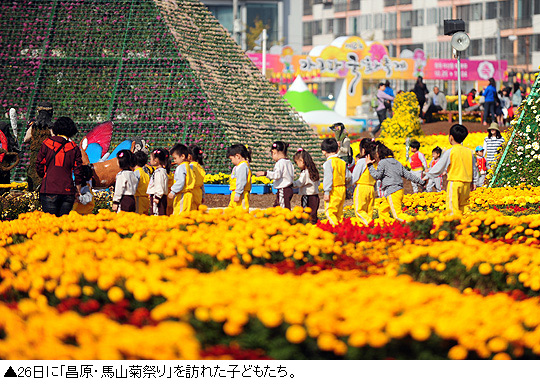 「第12回昌原・馬山菊祭り」開催