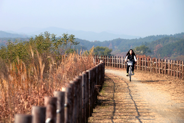 牛浦沼を回るのなら、歩くよりも自転車の方がよい。