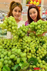 「チリ産種なしブドウ召し上がれ」