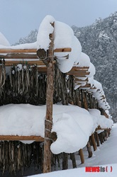 雪に覆われたスケトウダラ干し場