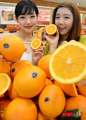 「甘いオレンジ召し上がれ」