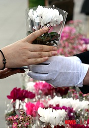 春の香りいっぱい