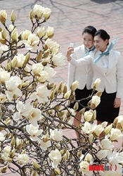 花も笑顔もほころぶ