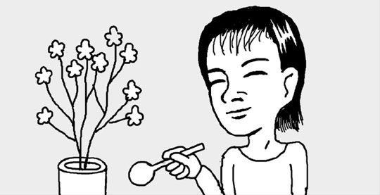 切り花を長持ちさせるには