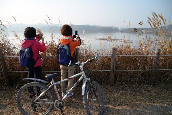 自転車第2コースは、牛浦沼の全景をバックに渡り鳥の姿が楽しめる。