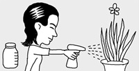 賞味期限切れの牛乳で草花いきいき