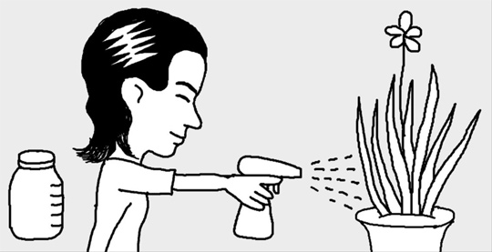 賞味期限切れの牛乳で草花いきいき