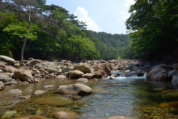 大源寺渓谷はうっそうと生い茂る松林の中にあり、水墨画のような景色を見せてくれる。