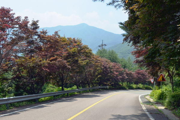 大源寺渓谷に向かう途中にあるパムモリ峠は、紅葉がきれいなドライブコースとして有名だ。