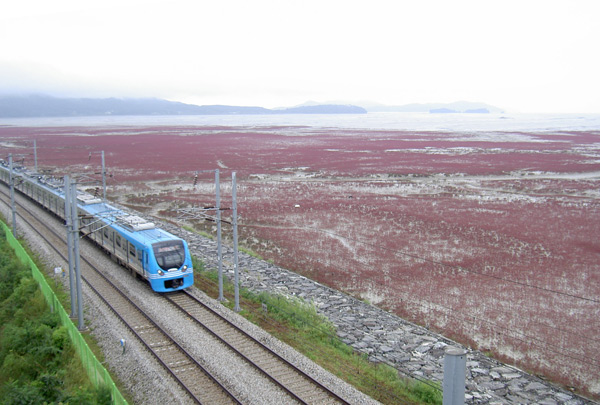 仁川空港鉄道、終電間近は行き先にご注意を！