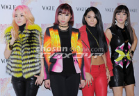 2NE1の楽曲、米マイクロソフトのCMソングに