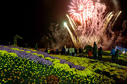 菊祭りは23日午後6時からの前夜祭で幕を開け、10日間にわたり開催される。