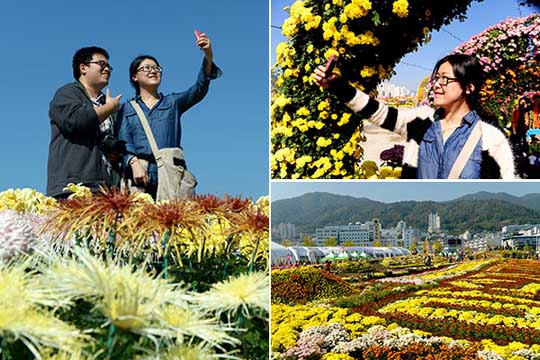 今年の「多輪大作」は1507本の花が咲き、来場者の注目を集めている。