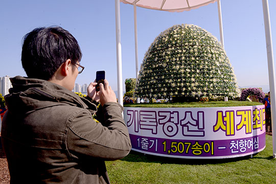 今回の祭りでは、10万本以上の菊の花で約300点の造形物が造られ、「菊花庭園」「名作ゾーン」「海洋ゾーン」などの7カ所で展示されている。