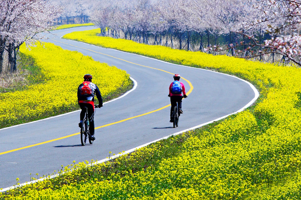 細花鹿山場線道路の様子。