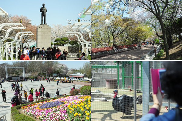 自由公園は長年にわたり仁川市民に憩いの場を提供してきた。