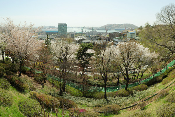 自由公園からは仁川港が一望できる。
