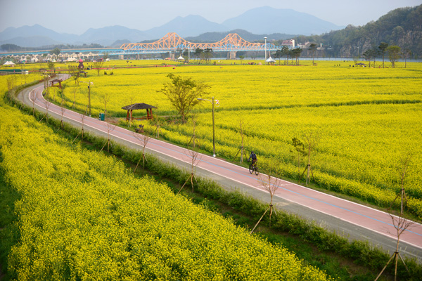 展望台から見た南旨菜の花団地の様子。