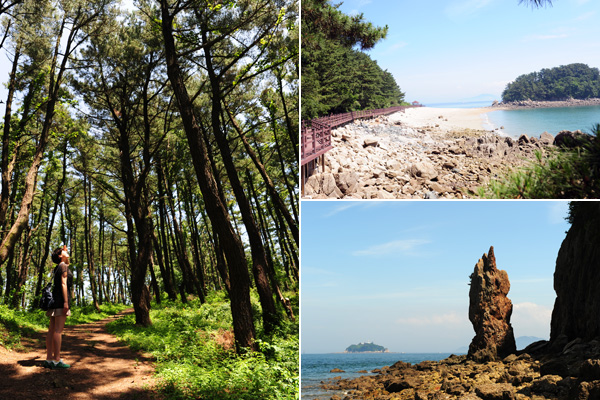 昇鳳島の山林浴場（写真左）とろうそく岩（写真右下）、昇鳳島海岸散策路（写真右上）。