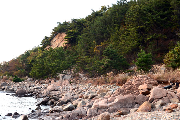 ユンオクコル海岸ハイキングコースは、海のそばを歩くことができ、最近人気を集めている。