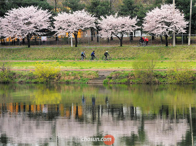 春の風を受けサイクリングに出掛けよう！　／大田