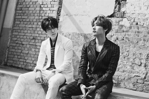 ＳＵＰＥＲ　ＪＵＮＩＯＲ－Ｄ＆Ｅ　韓流博覧会の広報大使に　