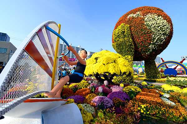 10万本の菊の花がゆれる「馬山カゴパ菊花祭り」