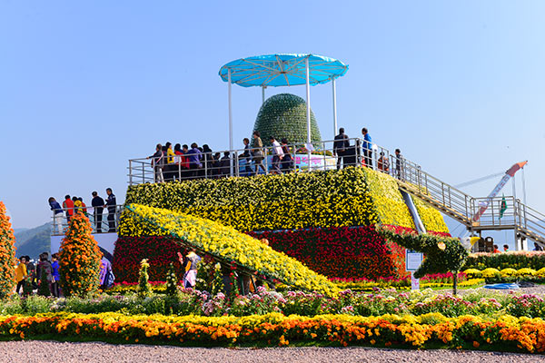 10万本の菊の花がゆれる「馬山カゴパ菊花祭り」