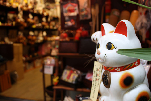 猫に対する認識、韓国と海外でどう違う？