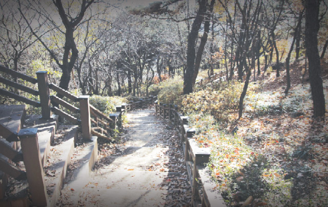 寿鳳公園