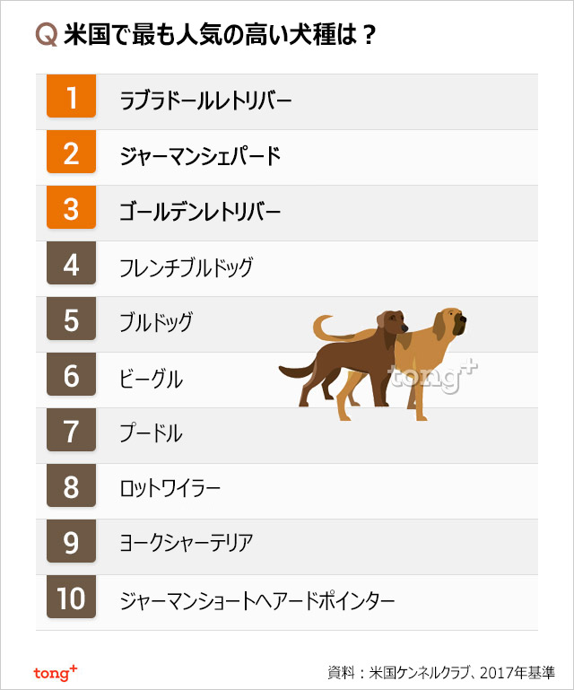 気になるデータ：米人気犬種1位はラブラドール、韓国は？