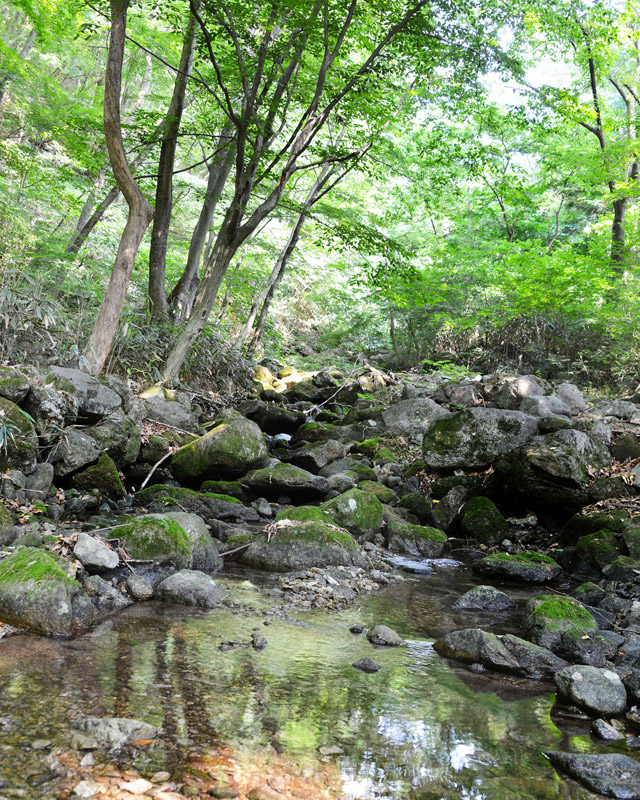 夏の涼を求めて潭陽へ、オススメの観光スポットは？