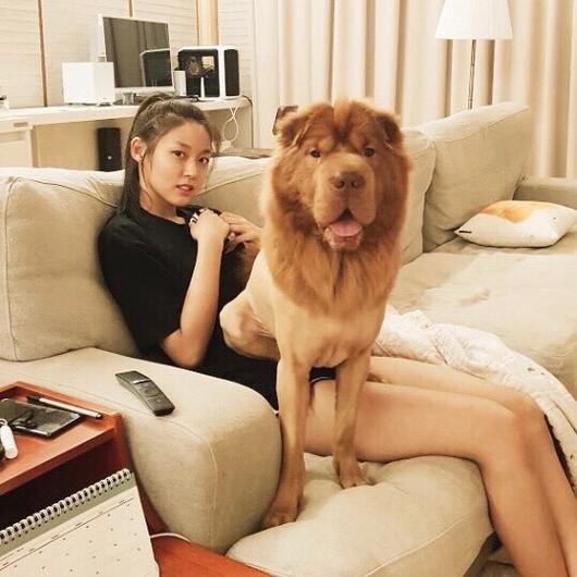AOAソリョン＆愛犬の「幸せな日常」公開